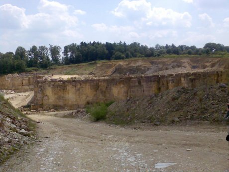 Steinbruch der Marmorwerke Gundelsheim, Bunte Brekzie auf anstehendem Malmkalkstein, Quelle: Michael Khan